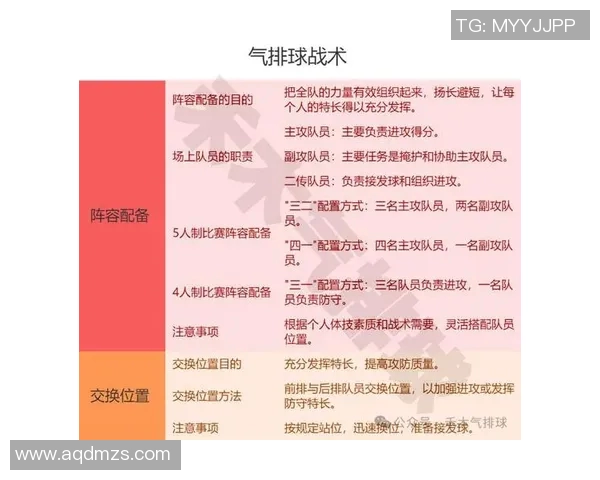 深入分析广州排球队的快速转换战术与技术特点 深入分析广州排球队的快速转换战术与技术特点