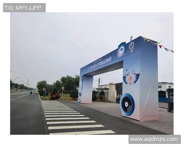 北京羽毛球队在联合会杯中的拼搏历程与荣耀时刻全景回顾