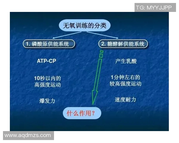 科学羽毛球耐力训练方法全解析助你提升竞技水平与体能素质