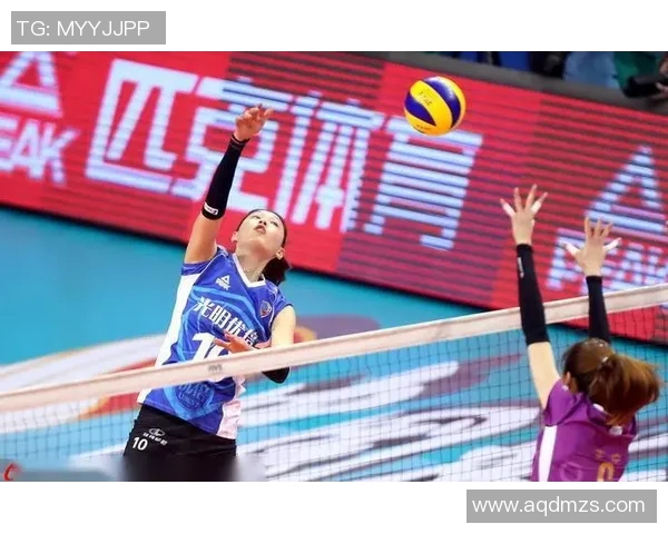 深圳排球队转型之路的英超排球纪实与未来展望 深圳排球队转型之路的英超排球纪实与未来展望