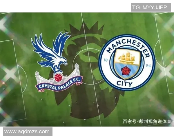 英超排球评论广州排球队进攻策略分析及其得失总结