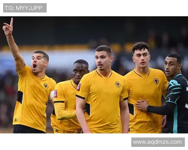 英超羽毛球焦点成都羽毛球队团队协作与战术配合的深度分析与探讨