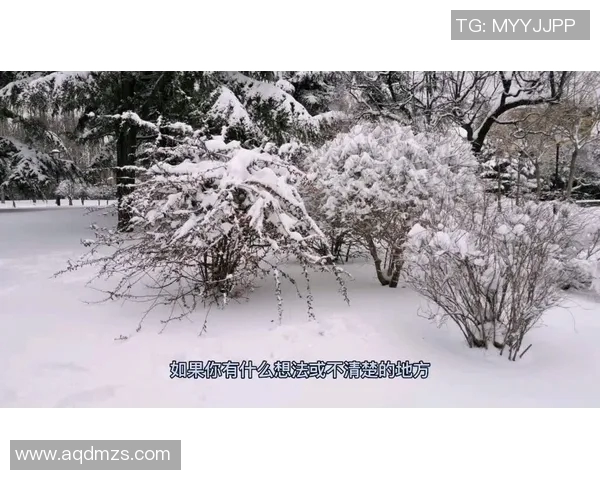 深圳乒乓球队边路渗透战术解析与热点动态深度解读