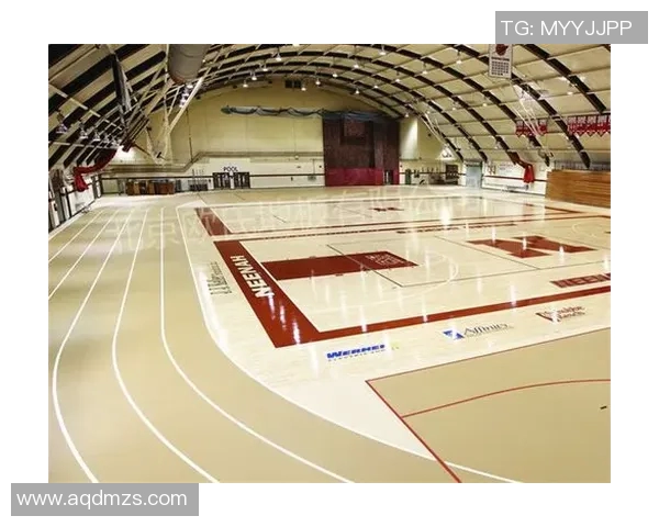 运动最新数据深入探讨广州篮球队的实力与发展潜力全景分析