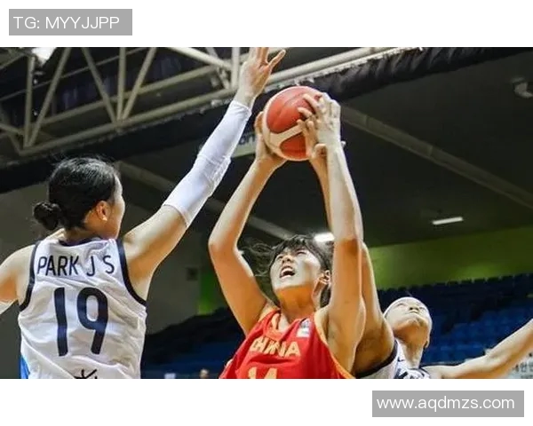 实时新闻排球新手必看轻松掌握配合技巧的全面入门指南